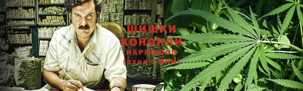 ГАЛЛЮЦИНОГЕННЫЕ ГРИБЫ Баксан