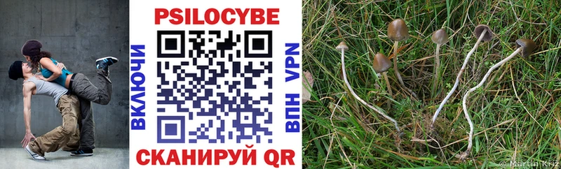 Галлюциногенные грибы Magic Shrooms  что такое   Краснокаменск 